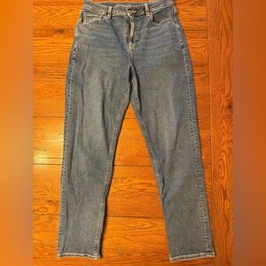 American Eagle Mom Jeans size 10L
